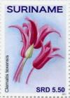 Colnect-4181-053-Clematis-texensis.jpg