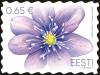 Colnect-5703-608-Liverleaf-Hepatica-nobilis.jpg