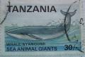 Colnect-1459-563-Blue-Whale-Balaenoptera-musculus.jpg