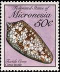 Colnect-2758-635-Textile-Cone-Conus-textile.jpg