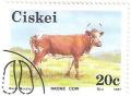 Colnect-2797-723-Nkone-Cattle-Bos-primigenius-taurus.jpg