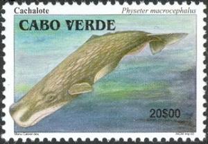 Colnect-2871-853-Sperm-Whale-Physeter-macrocephalus.jpg