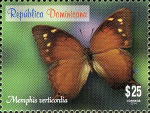 Colnect-3164-532-Hispaniolan-Leafwing-Memphis-verticordia.jpg