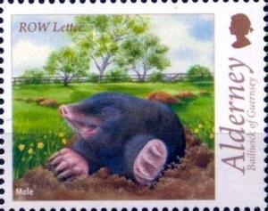 Colnect-4427-157-Mole-Talpa-europaea.jpg