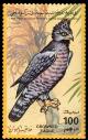 Colnect-4735-004-Crowned-Eagle-Stephanoaetus-coronatus.jpg