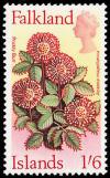 Colnect-2215-168-Flower-Definitive.jpg