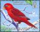 Colnect-3742-533-Cardinal-Lory-Pseudeos-cardinalis.jpg