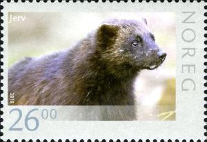 Colnect-4909-882-Wolverine-Gulo-gulo.jpg