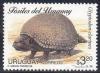 Colnect-1391-394-Glyptodon-claripes.jpg
