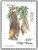 Colnect-1659-606-Lyle-s-Flying-Fox-Pteropus-lylei.jpg