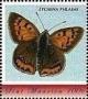 Colnect-5965-114-Lycaena-phlaeas.jpg