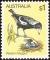 Colnect-5174-602-Western-Australian-Magpie-Gymnorhina-tibicen-dorsalis.jpg