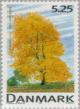 Colnect-157-514-Small-leaved-Lime.jpg