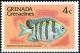 Colnect-2368-792-Sergeant-Major-Abudefduf-saxatilis.jpg