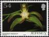 Colnect-4186-623-Cymbidium-Tracyanum.jpg