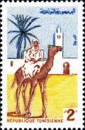 Colnect-4434-931-Dromedary-Camelus-dromedarius-with-Rider.jpg