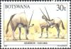 Colnect-2848-664-Gemsbok-Oryx-gazella.jpg