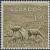 Colnect-874-874-Guanaco-Lama-guanicoe.jpg