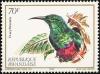 Colnect-1780-809-Red-chested-Sunbird%C2%A0Cinnyris-erythrocercus.jpg
