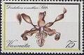Colnect-1230-380-Dendrobium-conanthum.jpg