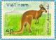 Colnect-1627-898-Red-Kangaroo-Macropus-rufus.jpg