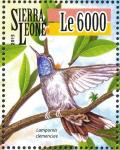 Colnect-3565-986-Blue-throated-Mountaingem%C2%A0-%C2%A0Lampornis-clemenciae.jpg
