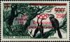 Colnect-1054-002-African-Darter-Anhinga-rufa.jpg