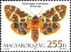 Colnect-960-662-Garden-Tiger-Arctia-caja.jpg