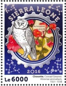 Colnect-3566-104-Western-Barn-Owl---Tyto-alba.jpg