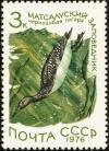 Colnect-729-147-Black-throated-Loon-Gavia-arctica.jpg