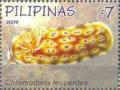 Colnect-2855-560-Leopard-Chromodoris-Chromodoris-leopardus.jpg