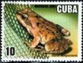 Colnect-2111-237-European-Common-Frog-Rana-temporaria.jpg