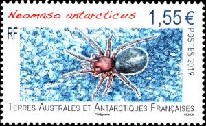 Colnect-5919-142-Neomaso-antarcticus.jpg