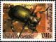 Colnect-3025-435-European-Calosoma-Beetle-Calosoma-sycophanta.jpg