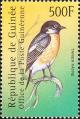 Colnect-3804-314-Common-Stonechat-Saxicola-torquata.jpg