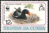 Colnect-2194-573-Gough-Moorhen-Gallinula-comeri.jpg