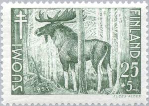 Colnect-159-248-Moose-Alces-alces.jpg