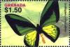 Colnect-4197-826-Ornithoptera-priamus-alberio.jpg