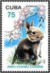 Colnect-2244-896-Domestic-Rabbit-Oryctolagus-cuniculus-domesticus.jpg