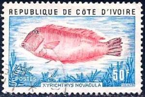 Colnect-2746-896-Pearly-Razorfish-Xyrichthys-novacula.jpg