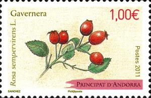 Colnect-2075-291-Rosa-sempervirens.jpg