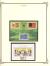 WSA-Suriname-Postage-1981-2.jpg