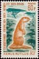 Colnect-792-280-Unstriped-Ground-Squirrel-Xerus-rutilus.jpg