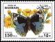 Colnect-2827-532-Blue-Pansy-Precis-orithya.jpg