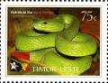 Colnect-4093-817-Island-Tree-Viper---Cryptelytrops-insularis.jpg