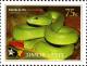 Colnect-4093-817-Island-Tree-Viper---Cryptelytrops-insularis.jpg