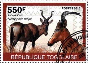 Colnect-4944-461-Alcelaphus-buselaphus-major.jpg