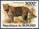 Colnect-3987-583-Phantera-Pardus.jpg