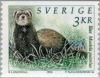 Colnect-164-770-European-Polecat-Mustela-putorius.jpg