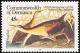 Colnect-1748-047-King-Rail-Rallus-lelegans.jpg